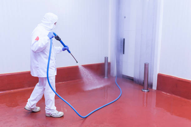 Best Dumpster Area Cleaning  in Homestead Meadows North, TX