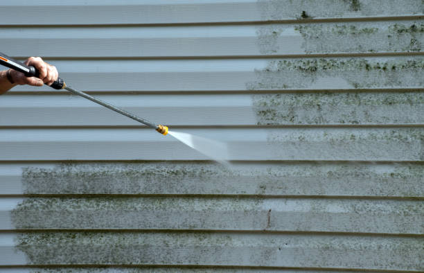 Professional Pressure Washing in Homestead Meadows North, TX