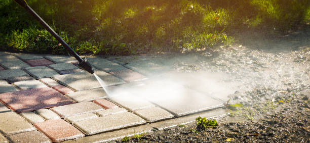 Best Soft Washing  in Homestead Meadows North, TX